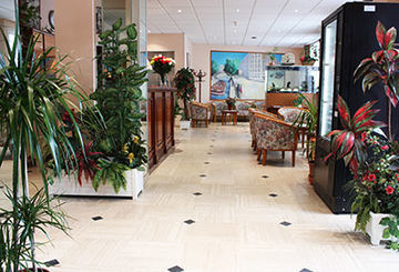 Hotel Belta Paris